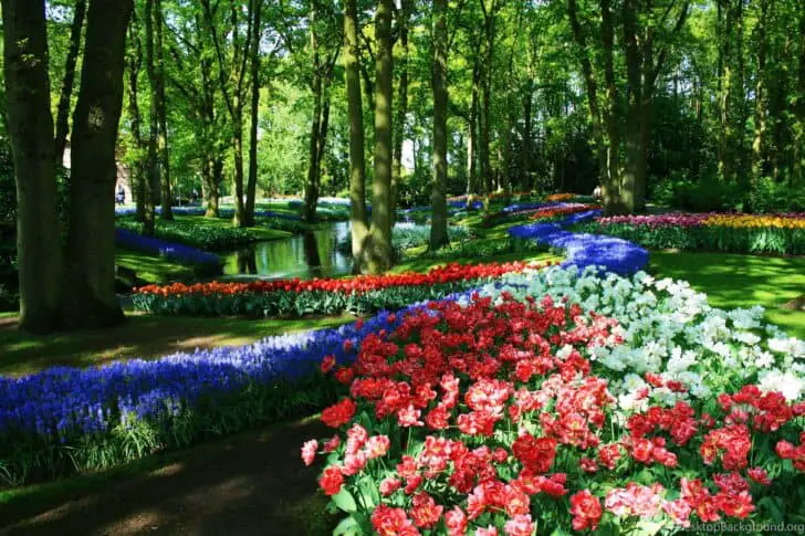 Top 10 Gardens of the World That Can Inspire a Writer 37 - Garden Decor
