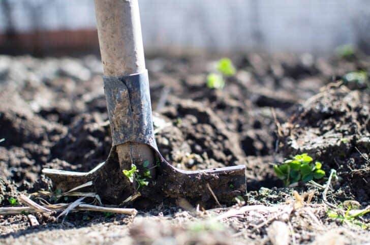 10 Must-have tools for your garden 5 - Garden Tools