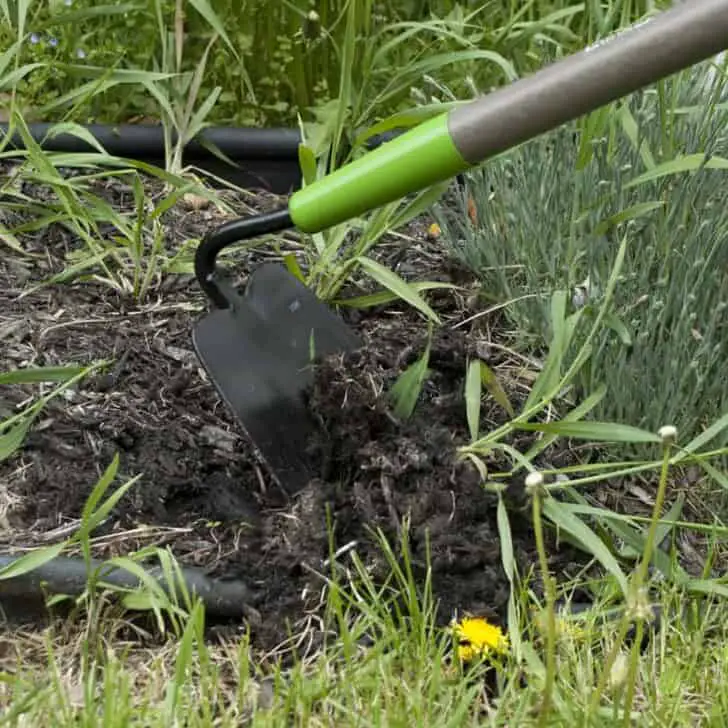 10 Must-have tools for your garden 9 - Garden Tools