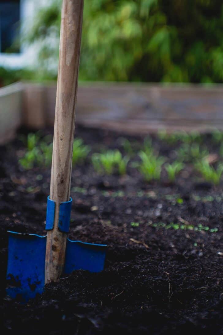 10 Must-have tools for your garden 13 - Garden Tools