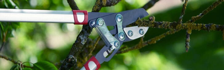 10 Must-have tools for your garden 29 - Garden Tools