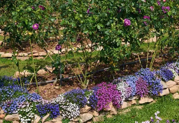 Flower garden ideas for small yards 51 - Flowers & Plants