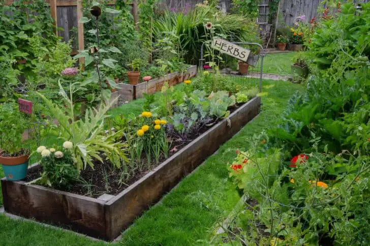 Flower garden ideas for small yards 35 - Flowers & Plants