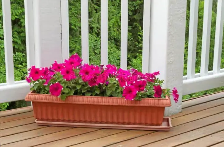 Flower garden ideas in front of the house 7 - Garden Decor