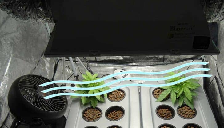 The Grow Tent Set-Up and Why You Should Use a Fan 46 - Urban Gardens & Agriculture