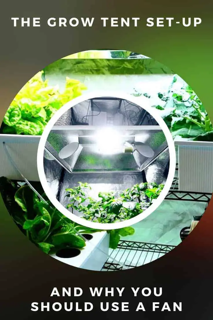 The Grow Tent Set Up And Why You Should Use A Fan 1001 Gardens The Grow Tent Set Up And Why You Should Use A Fan 1001 Gardens