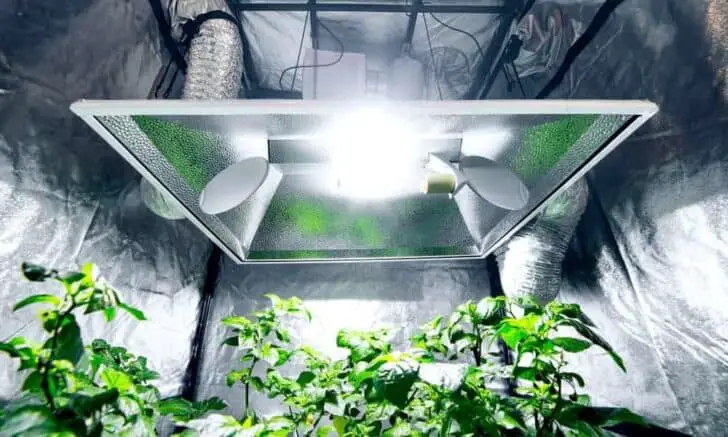 The Grow Tent Set-Up and Why You Should Use a Fan 27 - Urban Gardens & Agriculture