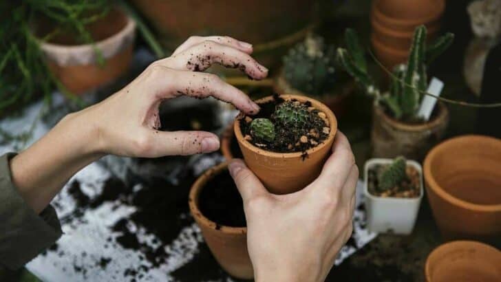 Benefits Of Building A Potting Shed In Your Backyard 9 - Sheds & Outdoor Storage