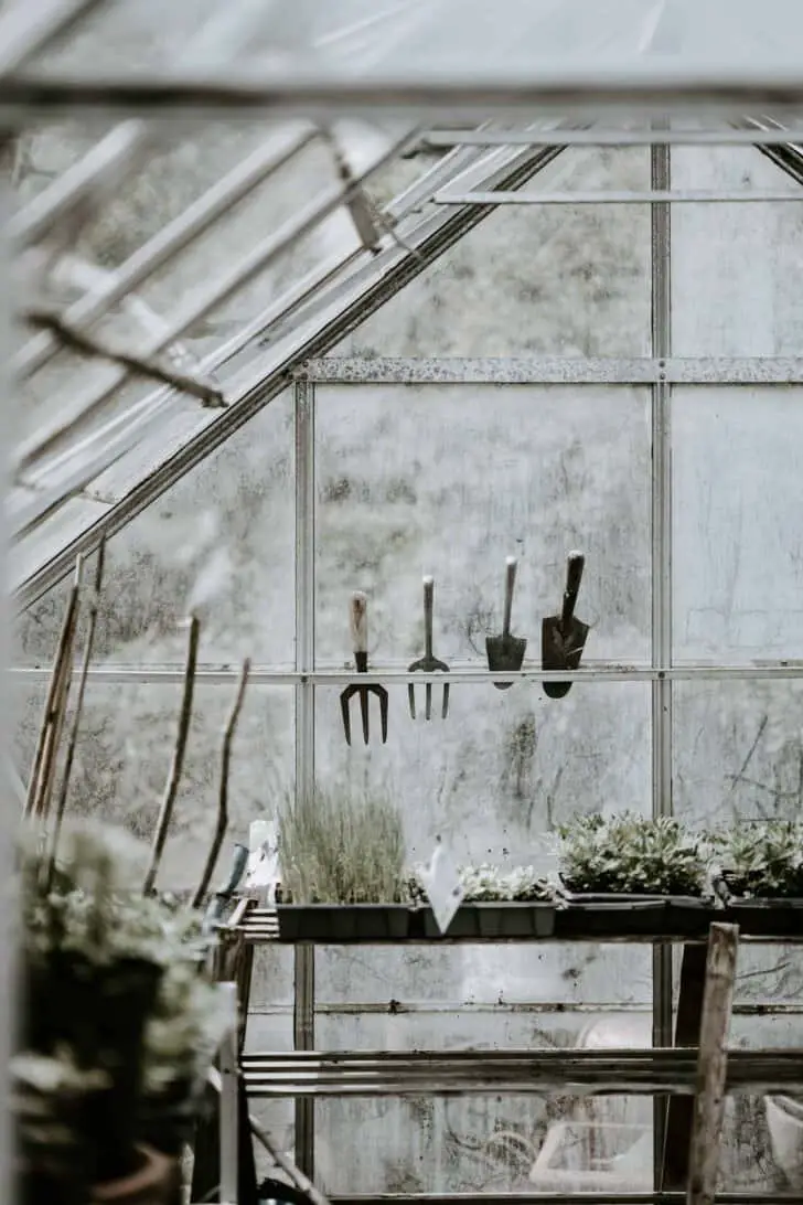 Benefits Of Building A Potting Shed In Your Backyard