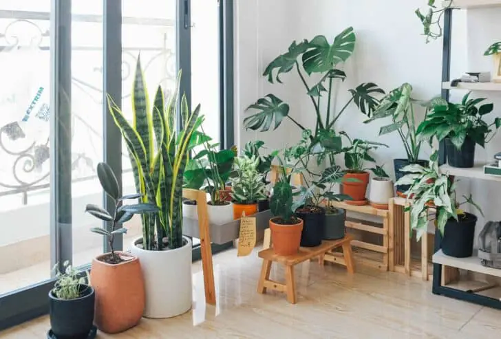 Best Urban Jungle Interior Style Ideas 19 - Garden Decor