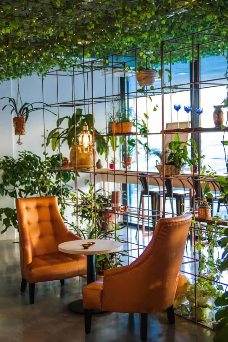 Best Urban Jungle Interior Style Ideas