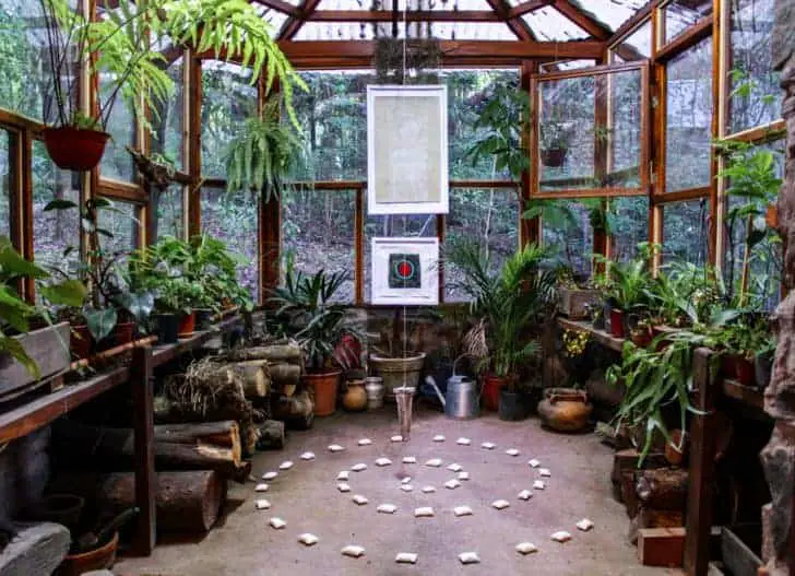 Best Urban Jungle Interior Style Ideas 4 - Garden Decor