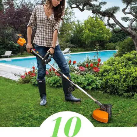10 Best Cordless Battery Powered Weed Eater of 2019 123 10 Best Cordless Battery Powered Weed Eater of 2019