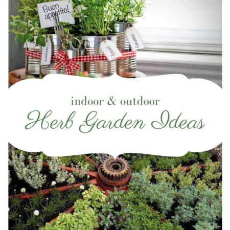 24 Herb Garden Ideas Outdoor and Indoor 24 Herb Garden Ideas Outdoor and Indoor