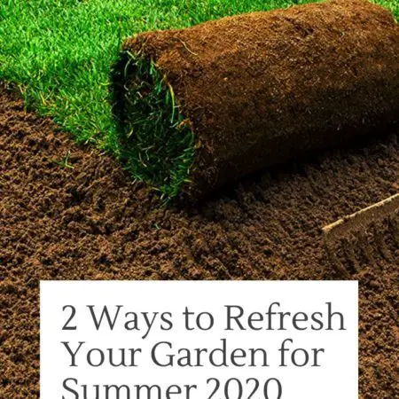2 Ways to Refresh Your Garden for Summer 2020 2 Ways to Refresh Your Garden for Summer 2020