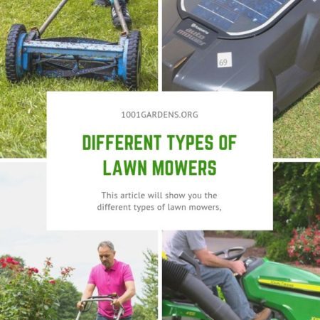 Different Types of Lawn Mowers Different Types of Lawn Mowers