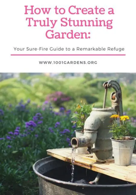 How to Create a Truly Stunning Garden-
