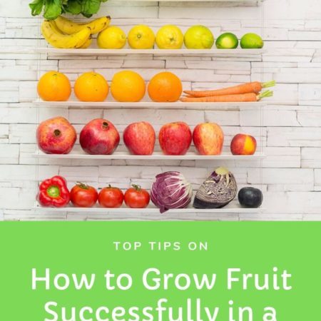 How to Grow Fruit Successfully in a Small Back Garden How to Grow Fruit Successfully in a Small Back Garden