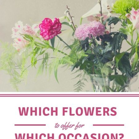 Which flowers to offer for which occasion Which flowers to offer for which occasion